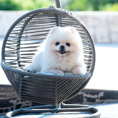 Sea View Hills 酒店 *